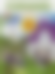 ����������� ������ �������� ��������� 8 ����� Forward