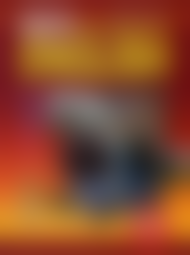 ����������� ������ �������� ��� New Millennium English 11 �����