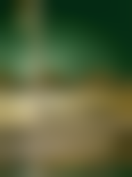 ����������� �������� �� ������� ���������� 10-11 �����