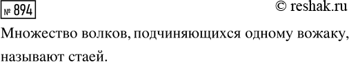 Изображение Упр.894 ГДЗ Мерзляк Полонский 7 класс