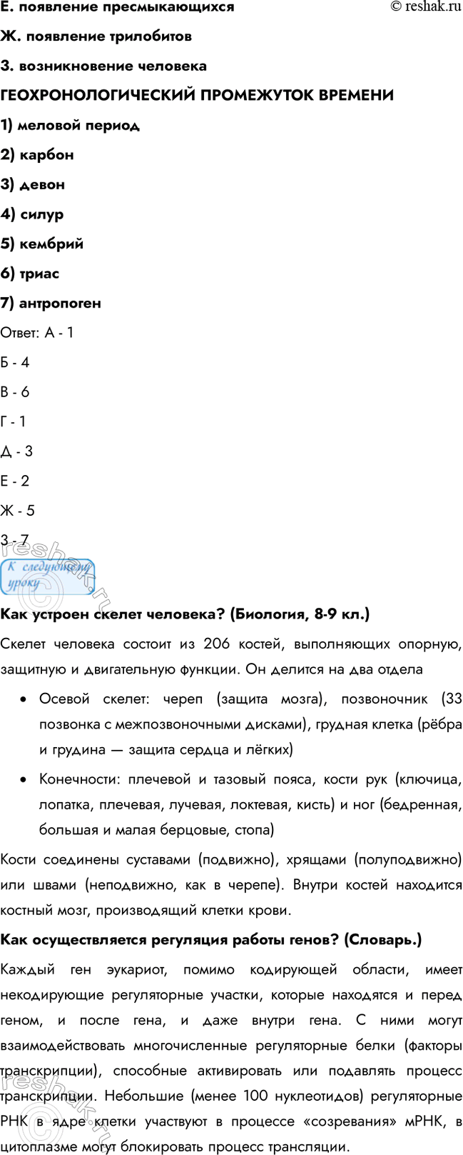 �������������� �����������