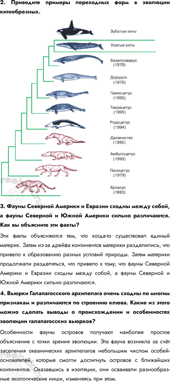 �������������� �����������