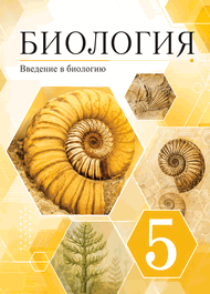 Изображение Онлайн ГДЗ Пасечник 5 класс