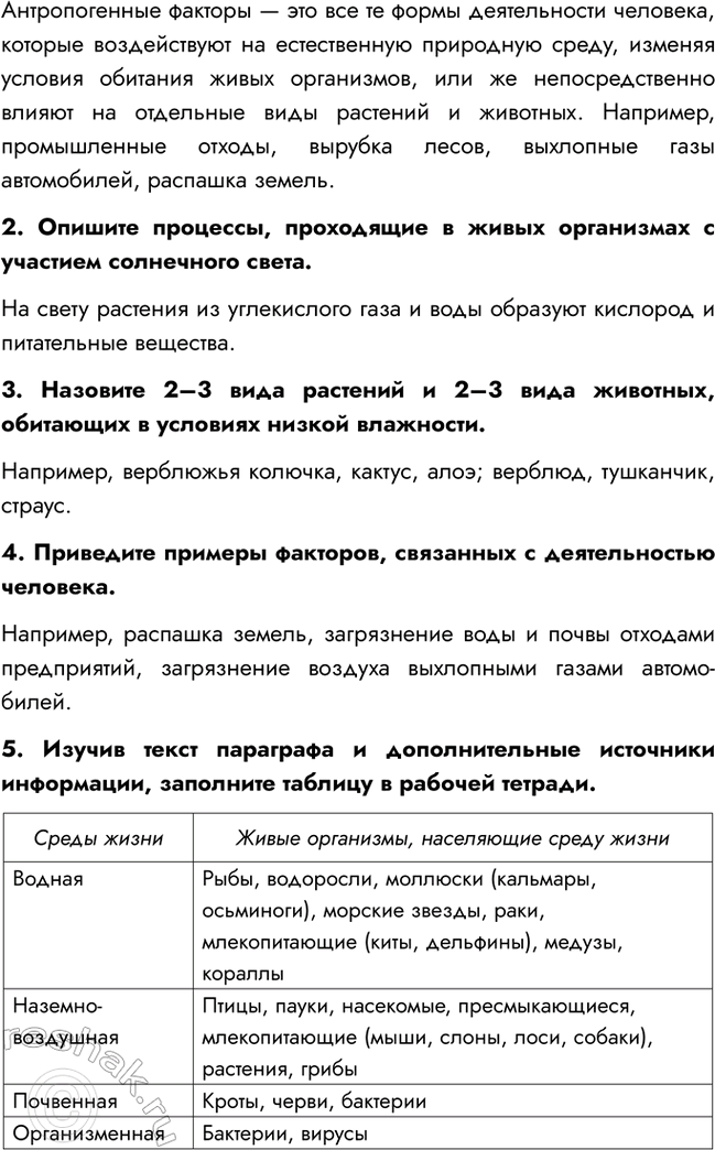 Дополнительное изображение