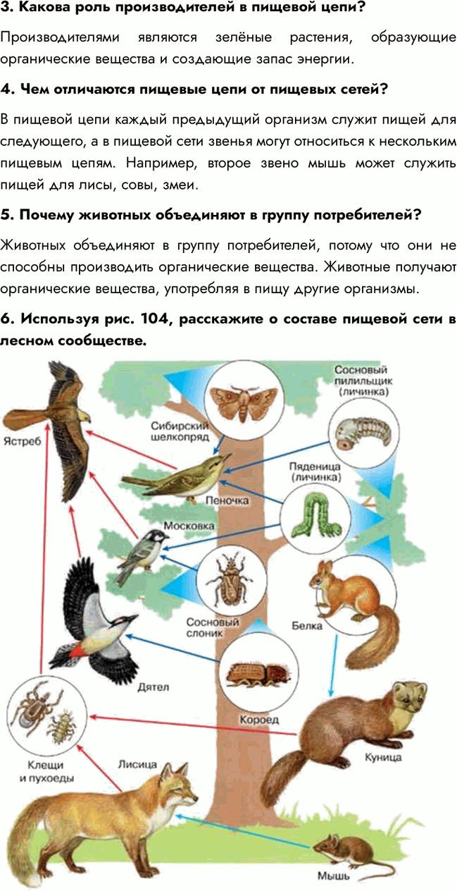 Дополнительное изображение