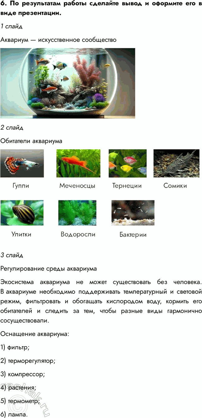 Дополнительное изображение