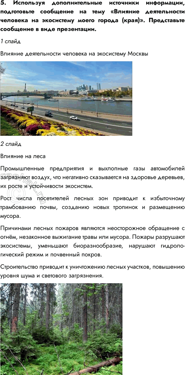 Дополнительное изображение