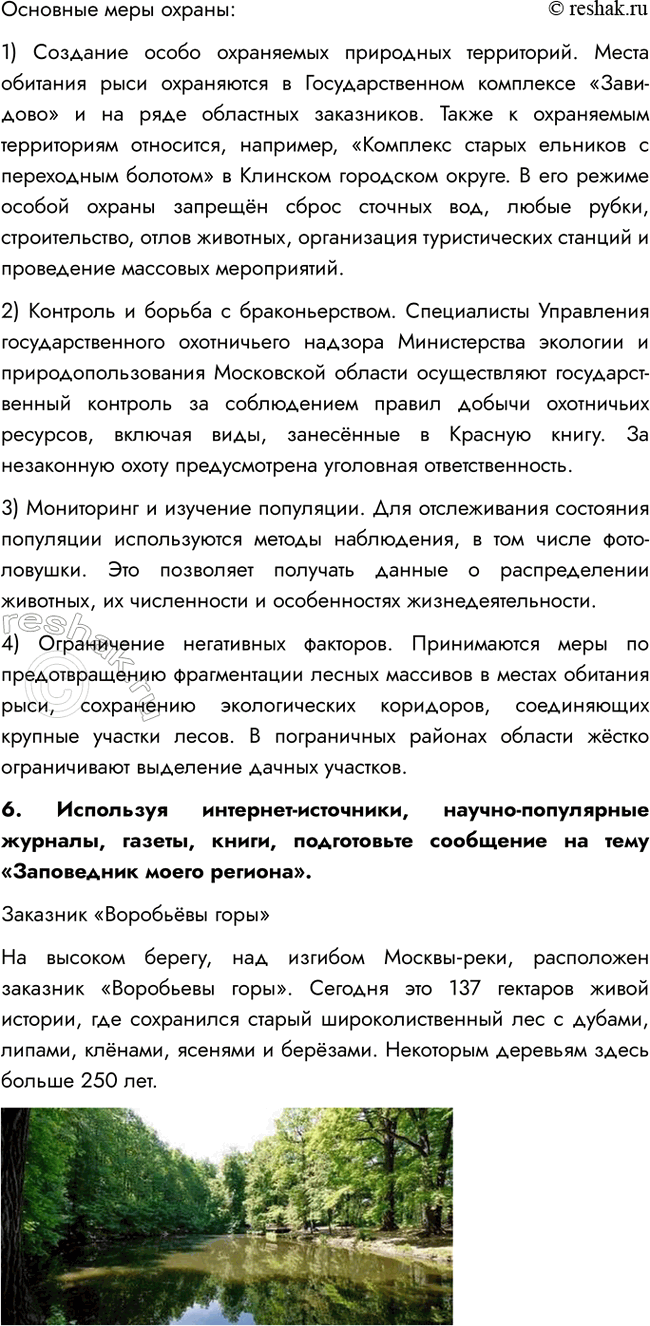 Дополнительное изображение