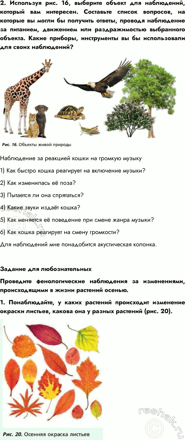Дополнительное изображение