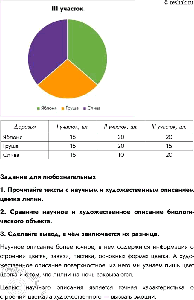 Дополнительное изображение