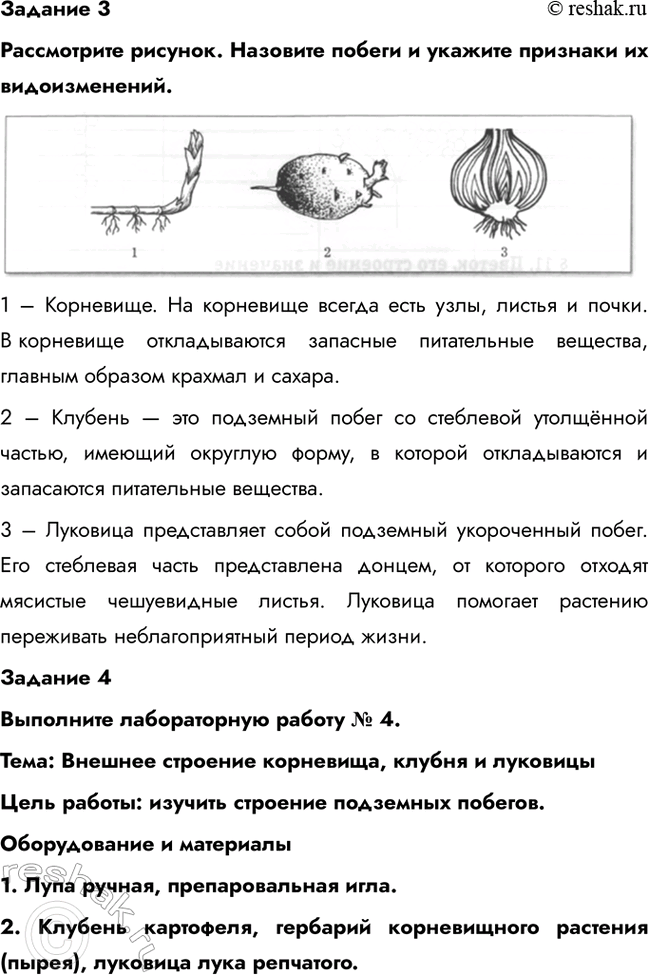 �������������� �����������