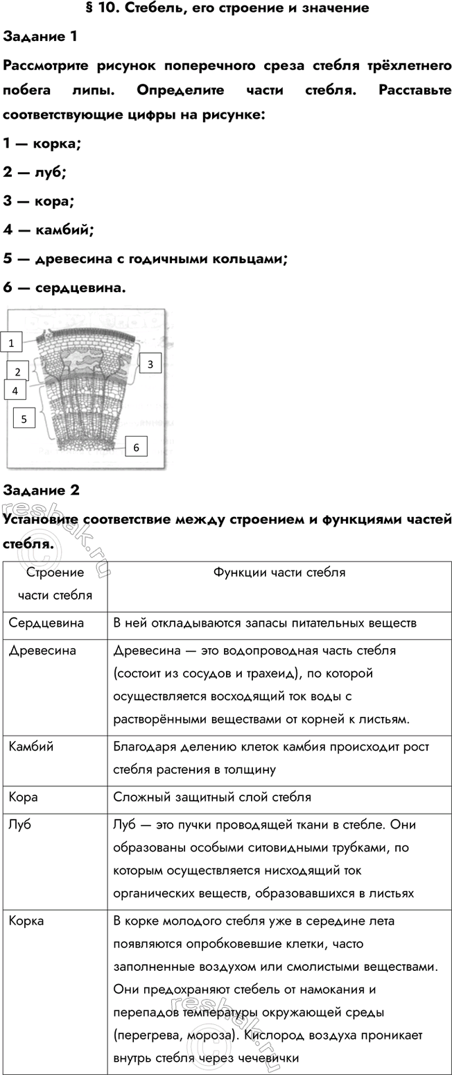 ����������� � 10. �������, ��� �������� � ��������������� 1����������� ������� ����������� ����� ������ ���������� ������ ����. ���������� ����� ������. ����������...