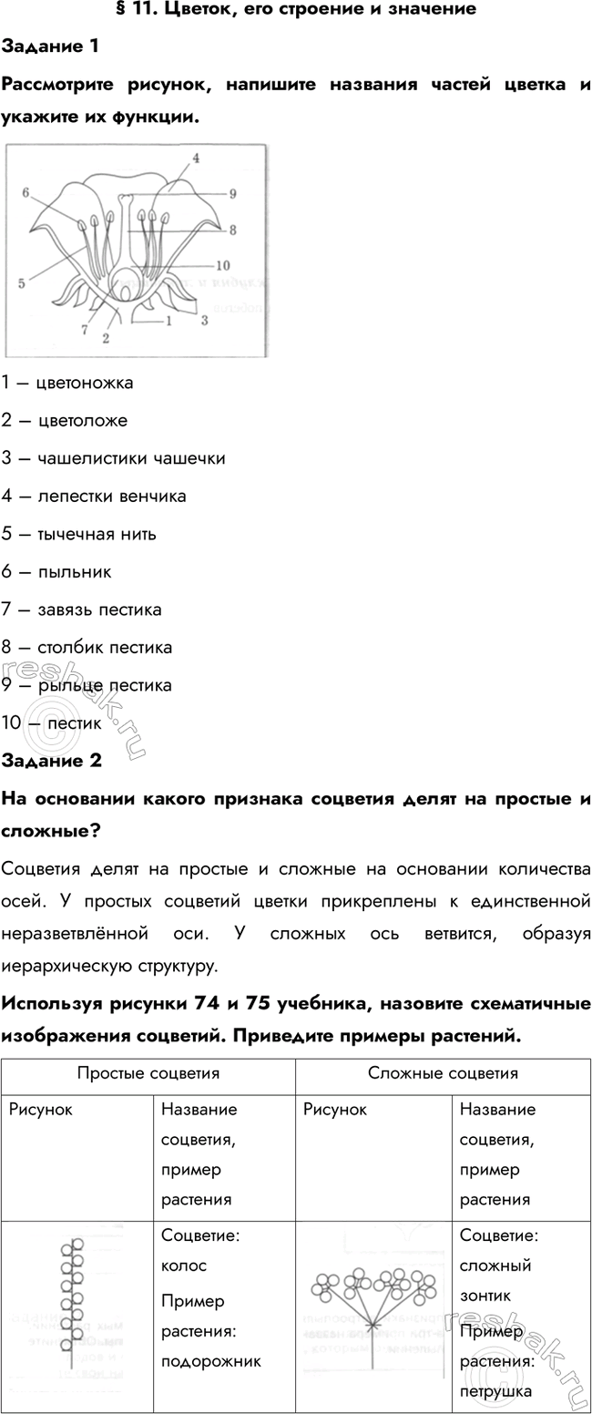 ����������� � 11. ������, ��� �������� � ��������������� 1����������� �������, �������� �������� ������ ������ � ������� �� �������.1 � ����������2 � ���������3 �...