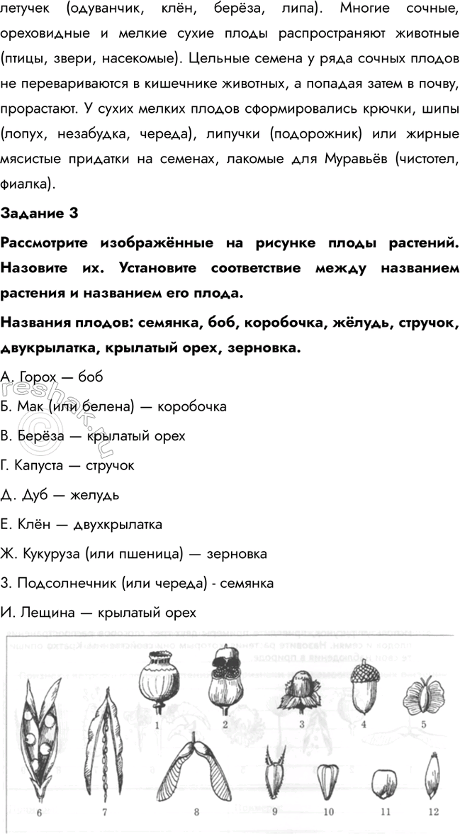 �������������� �����������