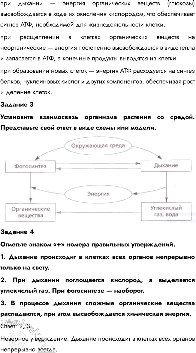 �������������� �����������