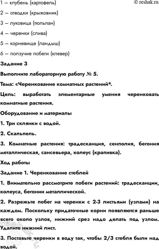 �������������� �����������