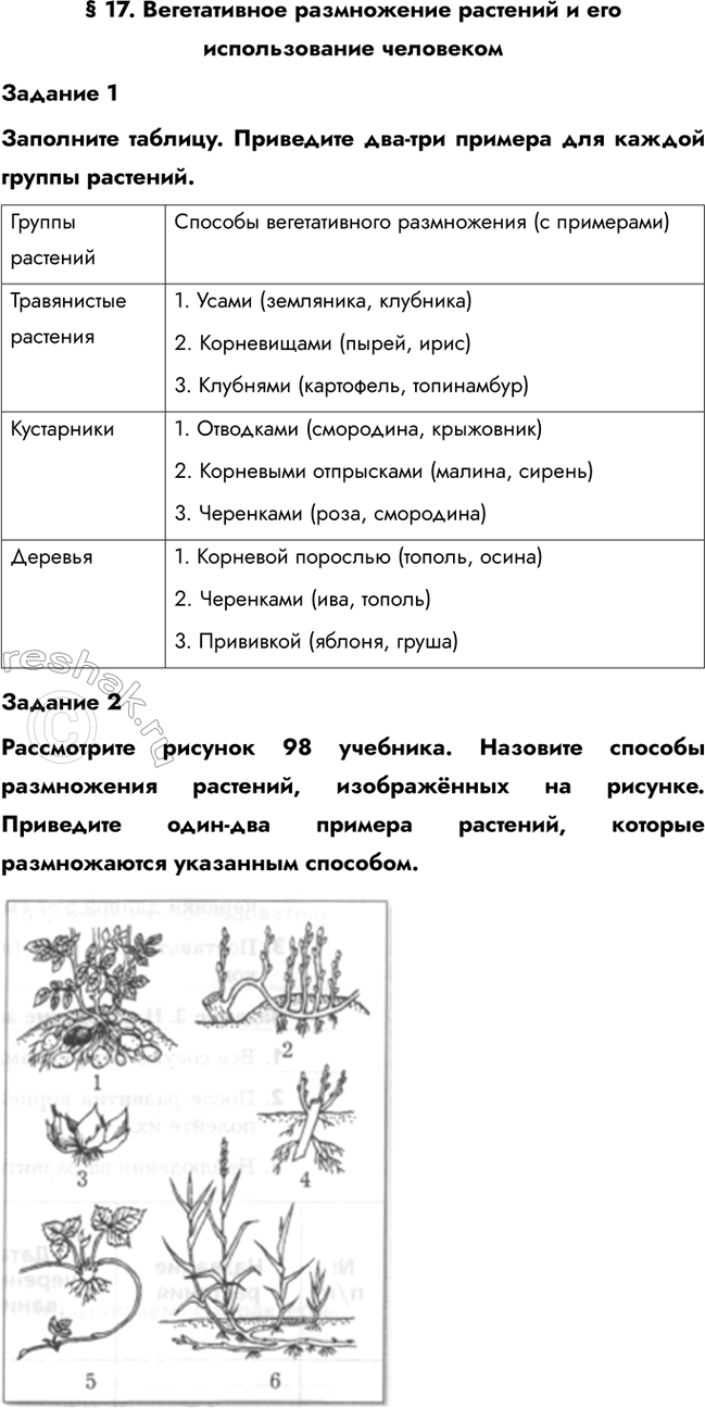 ����������� � 17. ������������ ����������� �������� � ��� ������������� ���������������� 1��������� �������. ��������� ���-��� ������� ��� ������ ������ ��������.�������...