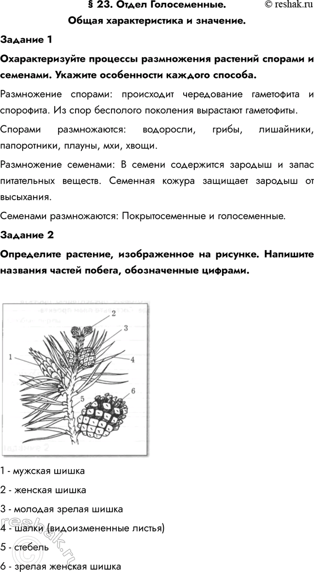 ����������� � 23. ����� ������������. ����� �������������� � ��������.������� 1��������������� �������� ����������� �������� ������� � ��������. ������� ����������� �������...