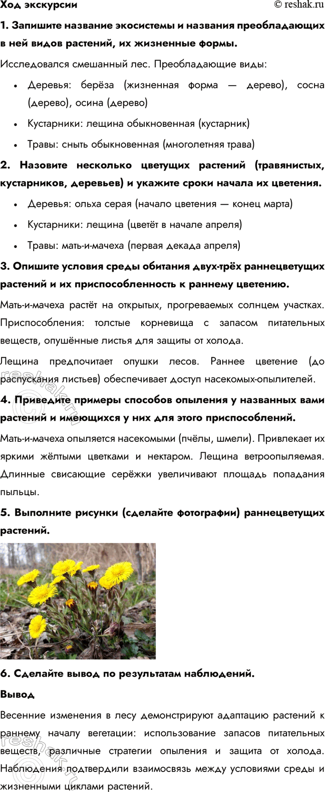 �������������� �����������