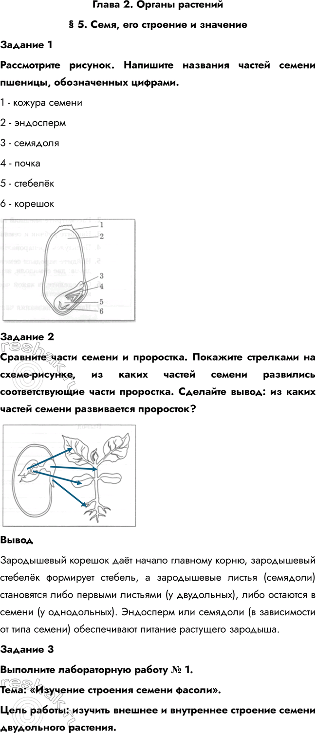 ����������� ����� 2. ������ �������� 5. ����, ��� �������� � ��������������� 1����������� �������. �������� �������� ������ ������ �������, ������������ �������.1 - ������...