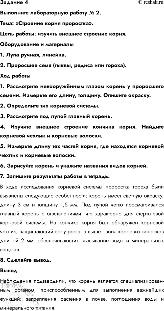 �������������� �����������