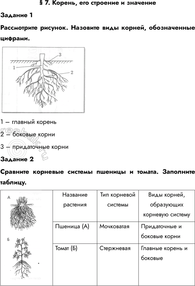 ����������� � 7. ������, ��� �������� � ��������������� 1����������� �������. �������� ���� ������, ������������ �������.1 � ������� ������2 � ������� �����3 � �����������...