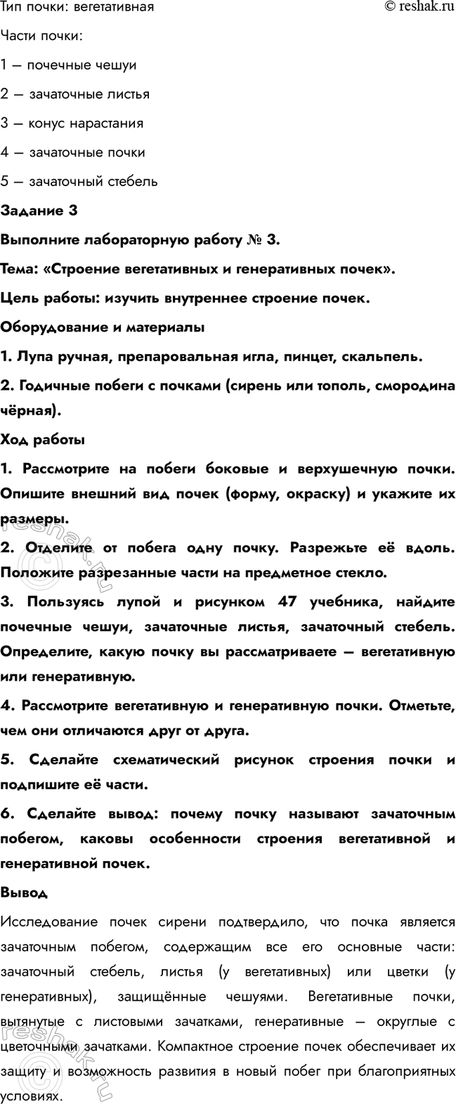 �������������� �����������