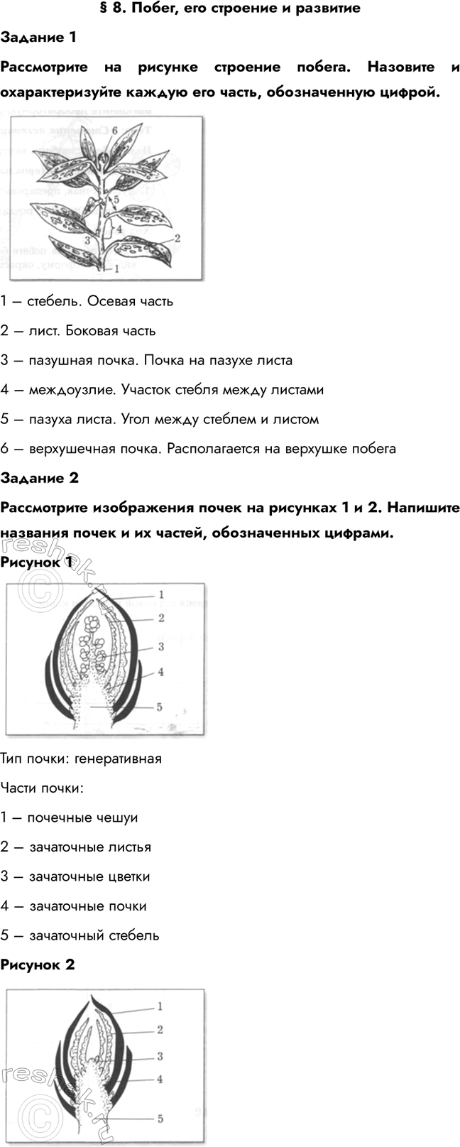 ����������� � 8. �����, ��� �������� � ��������������� 1����������� �� ������� �������� ������. �������� � ��������������� ������ ��� �����, ������������ ������.1 � �������....