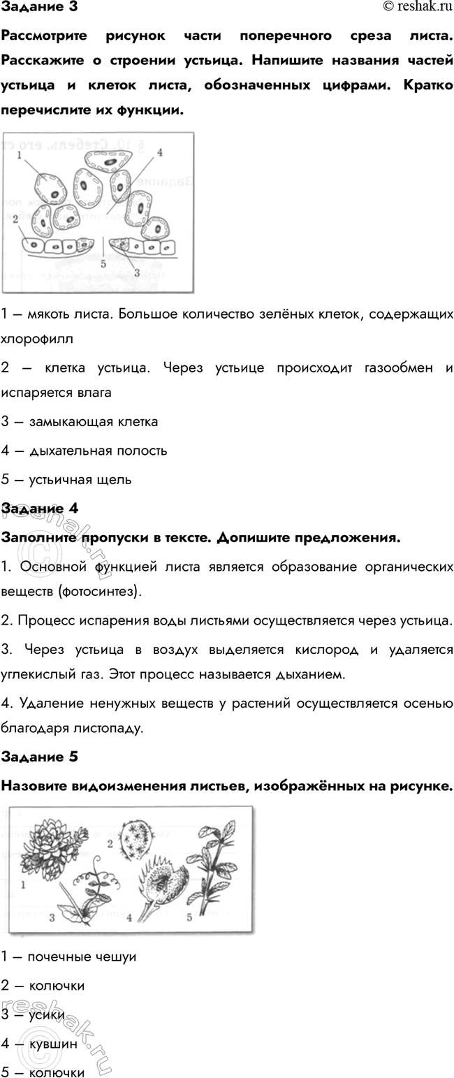 �������������� �����������