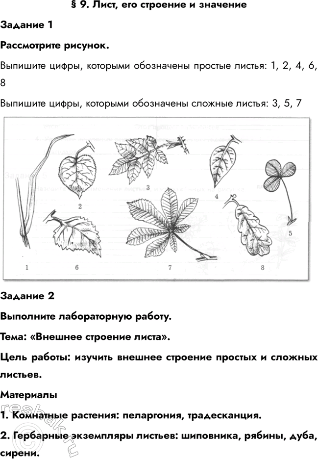 ����������� � 9. ����, ��� �������� � ��������������� 1����������� �������.�������� �����, �������� ���������� ������� ������: 1, 2, 4, 6, 8�������� �����, ��������...