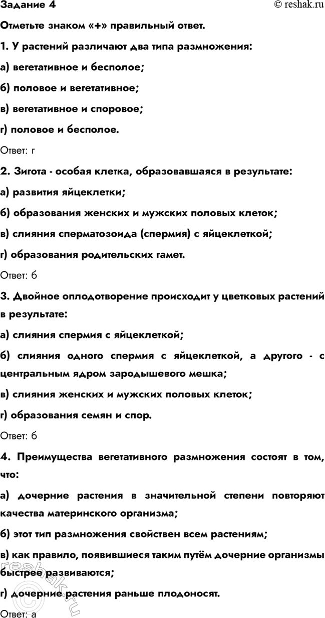 �������������� �����������