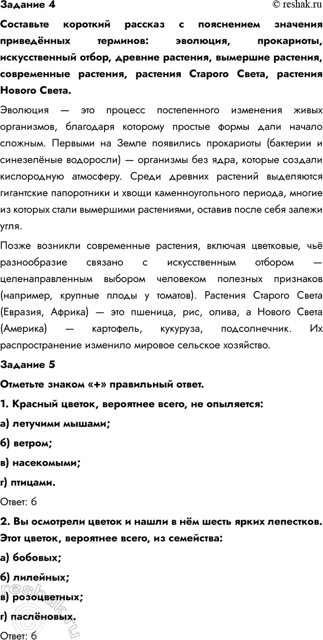 �������������� �����������