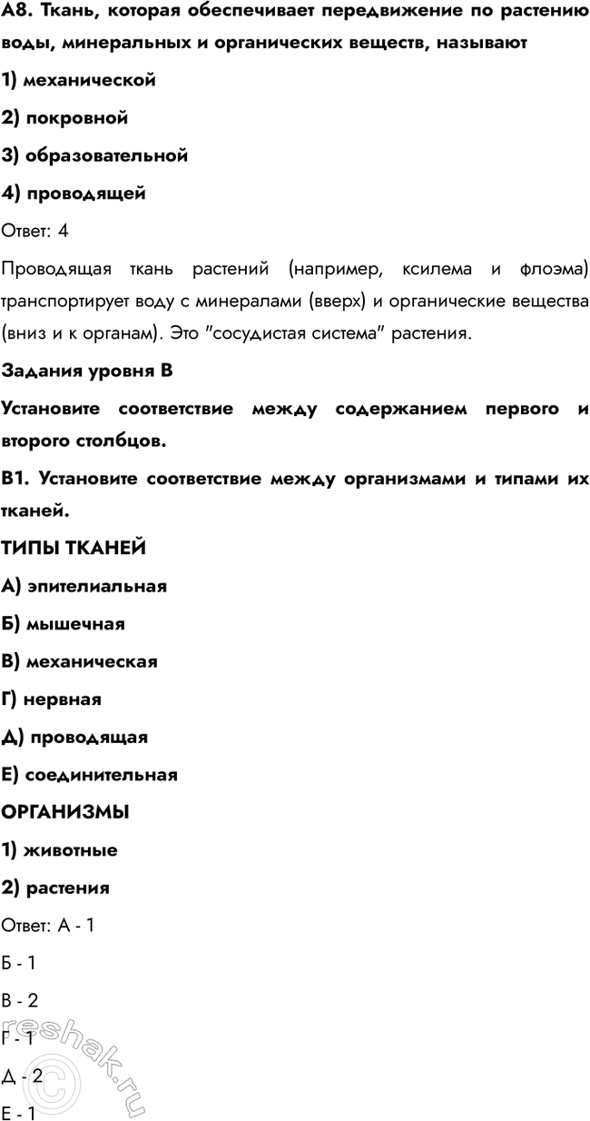 �������������� �����������