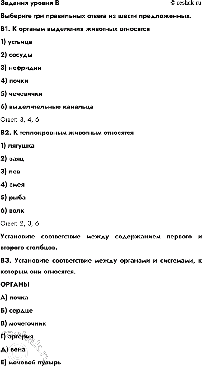 �������������� �����������