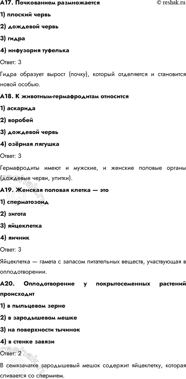 �������������� �����������