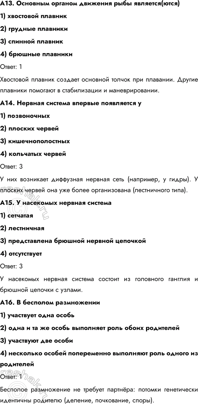 �������������� �����������