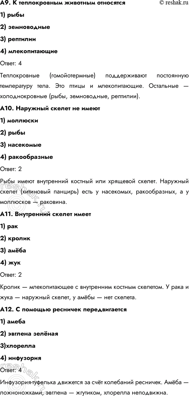 �������������� �����������