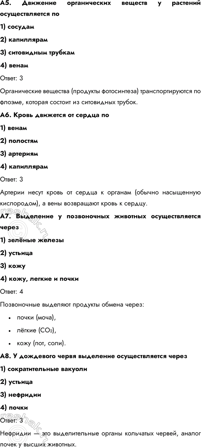 �������������� �����������