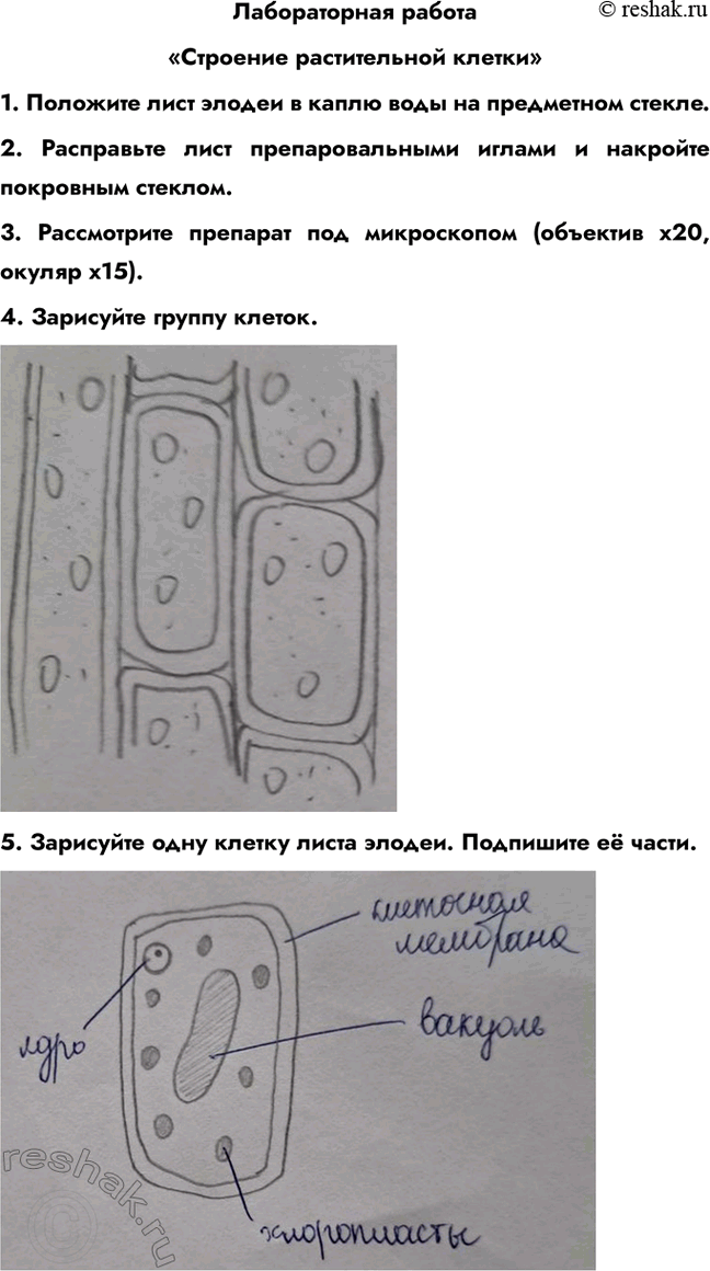 ����������� ������������ �������������� ������������ ������1. �������� ���� ������ � ����� ���� �� ���������� ������.2. ���������� ���� ��������������� ������ � ��������...