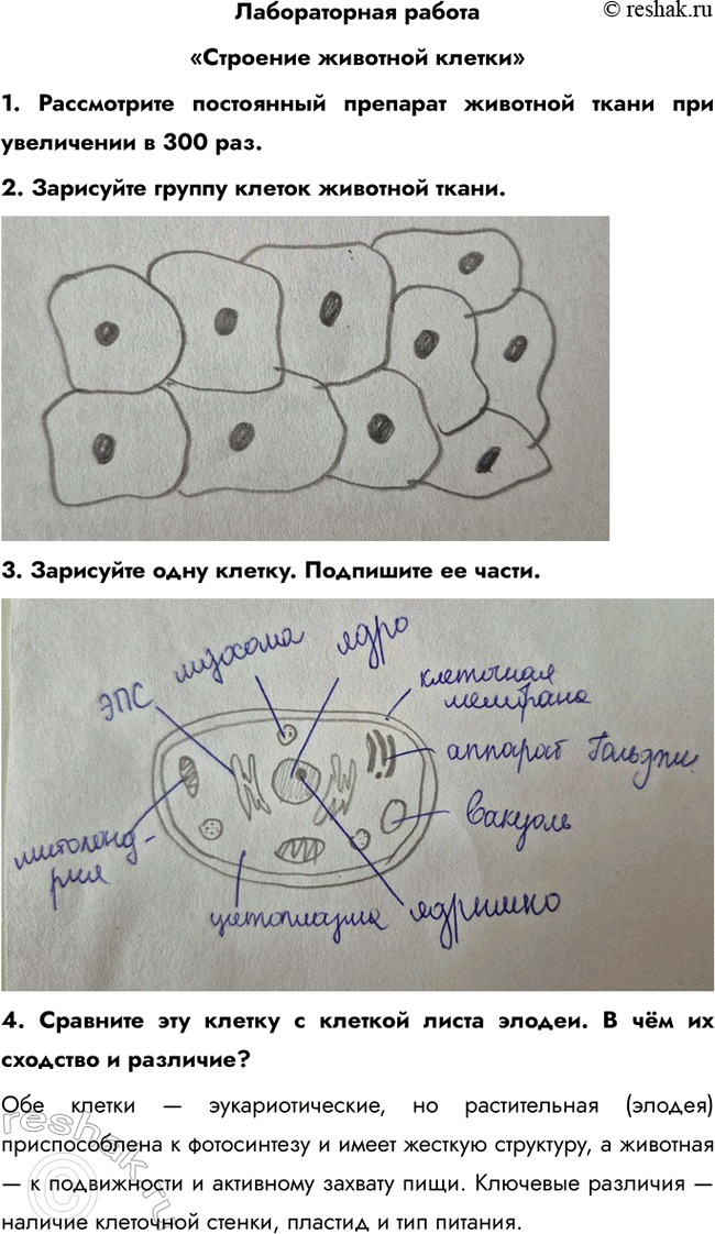 ����������� ������������ �������������� �������� ������1. ����������� ���������� �������� �������� ����� ��� ���������� � 300 ���.2. ��������� ������ ������ ��������...