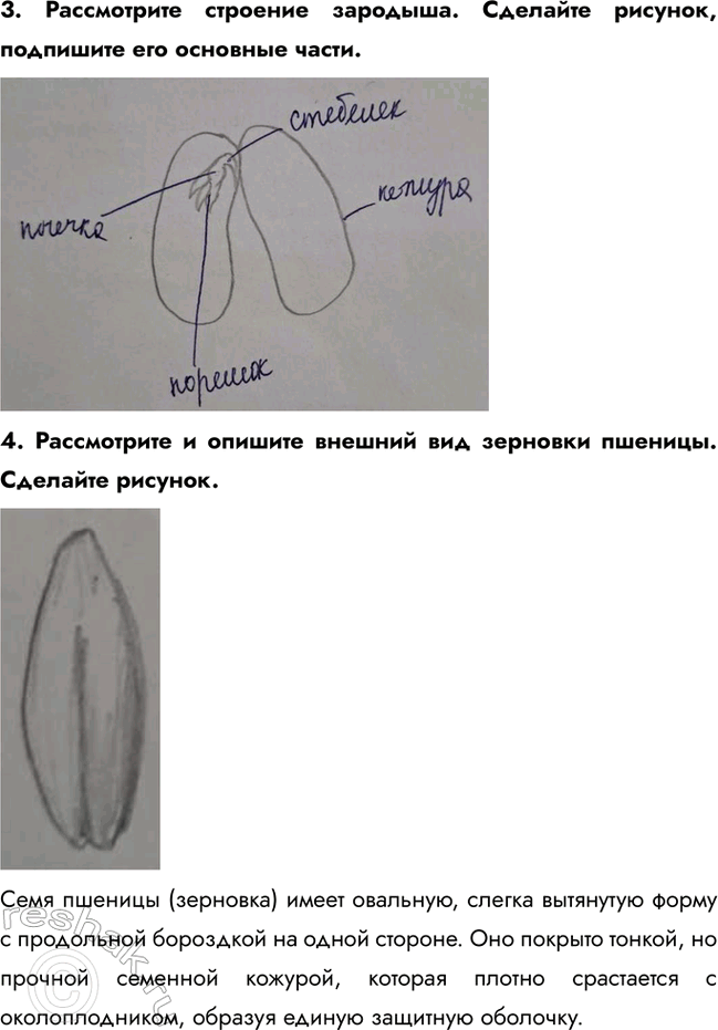 �������������� �����������