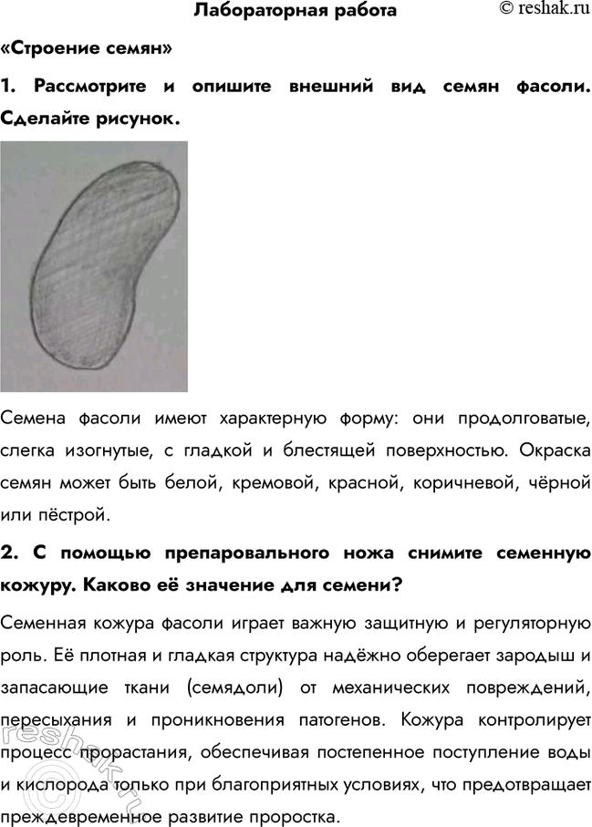 ����������� ������������ �������������� ������1. ����������� � ������� ������� ��� ����� ������. �������� �������.������ ������ ����� ����������� �����: ��� �������������,...