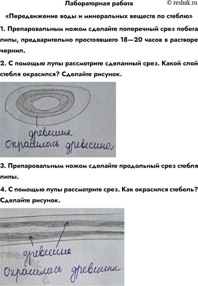 ����������� ������������ ������������������ ���� � ����������� ������� �� �������1. �������������� ����� �������� ���������� ���� ������ ����, �������������� ������������ 18�20...