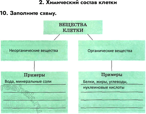 ����������� ������� 10 ��� ������� ������� ����� 6 �����