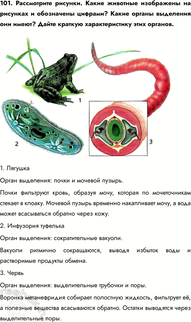 ����������� 101. ����������� �������. ����� �������� ���������� �� �������� � ���������� �������? ����� ������ ��������� ��� �����? ����� ������� �������������� ���� �������.1....