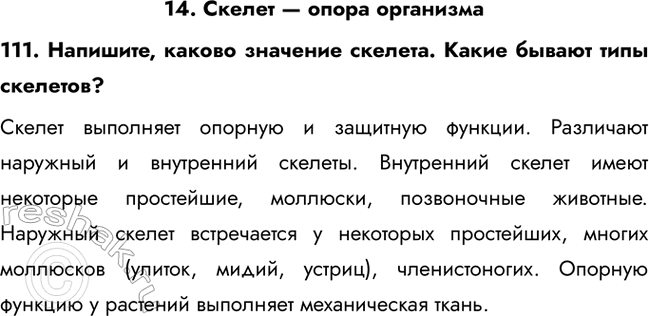 ����������� 14. ������ � ����� ���������111. ��������, ������ �������� �������. ����� ������ ���� ��������?������ ��������� ������� � �������� �������. ��������� �������� �...