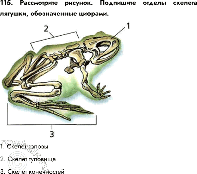 ����������� 115. ����������� �������. ��������� ������ ������� �������, ������������ �������.1. ������ ������2. ������ ��������3. ������...