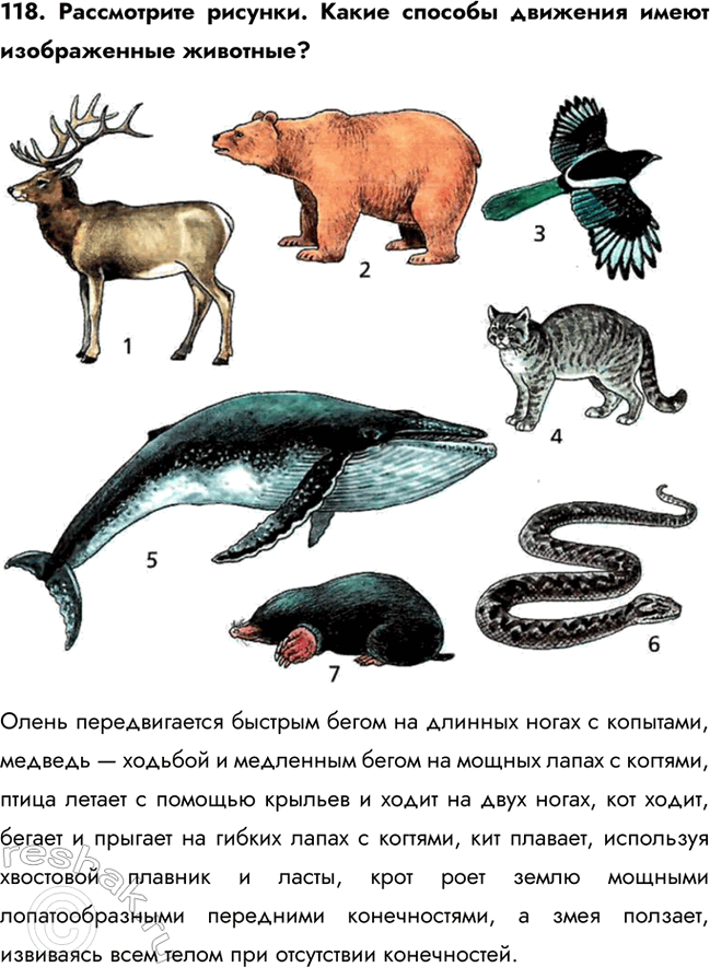 ����������� 118. ����������� �������. ����� ������� �������� ����� ������������ ��������?����� ������������� ������� ����� �� ������� ����� � ��������, ������� � ������� �...