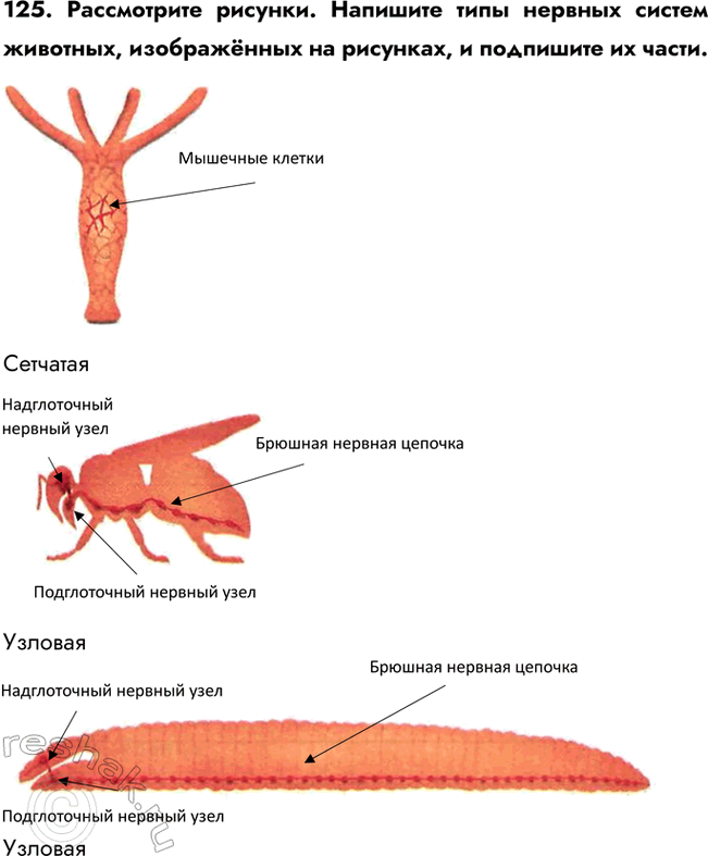 ����������� 125. ����������� �������. �������� ���� ������� ������ ��������, ����������� �� ��������, � ��������� ��...