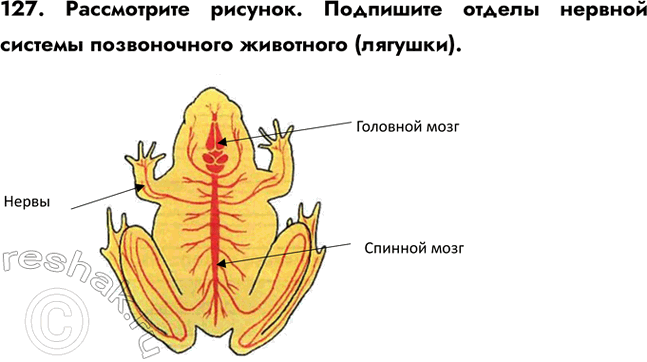 ����������� 127. ����������� �������. ��������� ������ ������� ������� ������������ ���������...